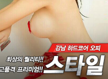 오피스타 | [강남오피-스타일]