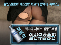 오피스타 | [일산유흥총판-김종구부장]