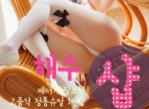 오피스타 | [일산건마-해수1인샵]