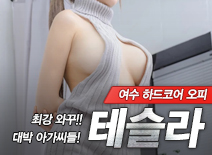 오피스타 | [여수오피-테슬라]