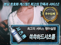 [쏙쏙하드셔츠룸-짱아실장]