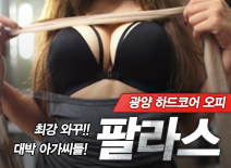 오피스타 | [광양오피-팔라스]
