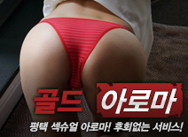 오피스타 | [평택건마-골드아로마]
