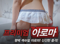 오피스타 | [평택건마-프리미엄]