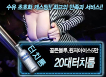 오피스타 | [20대터치룸-골든블루,윈저아이스5만]