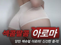 오피스타 | [양천건마-섹콤딸콤]