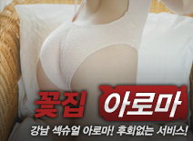 오피스타 | [강남건마-꽃집]