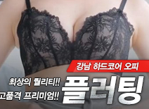 오피스타 | [강남오피-플러팅]