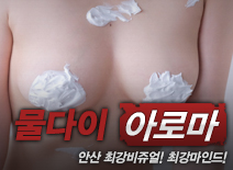 오피스타 | [안산건마-물다이]