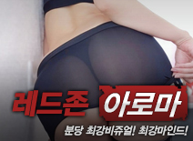 오피스타 | [분당건마-레드존]
