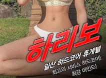 오피스타 | [일산휴게텔-하리보]