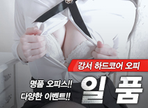 오피스타 | [강서오피-일품]