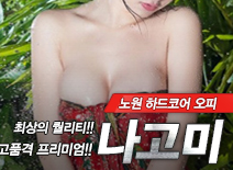 오피스타 | [노원오피-나고미]